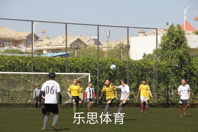 乐思体育 公司简介